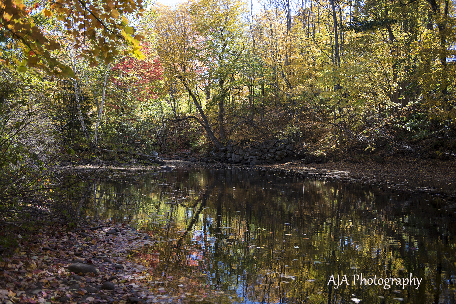 West Paris Maine AJA Photography